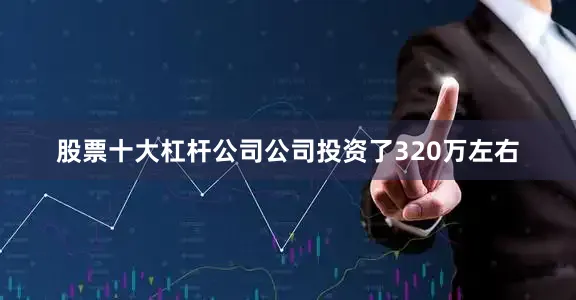 股票十大杠杆公司公司投资了320万左右