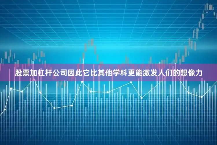 股票加杠杆公司因此它比其他学科更能激发人们的想像力